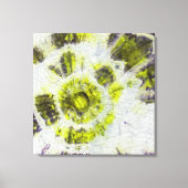 Tye Dye Composition #3 door Michael Moffa Canvas Afdruk (Voorkant)