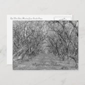 Tyee Hazelnoten Briefkaart (Voorkant / Achterkant)