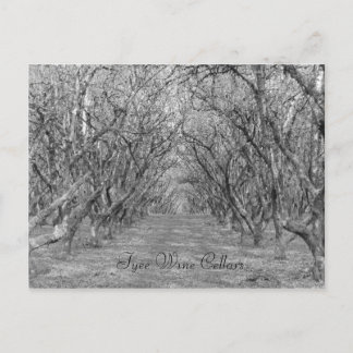 Tyee Hazelnoten Briefkaart