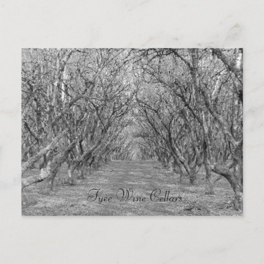 Tyee Hazelnoten Briefkaart (Voorkant)