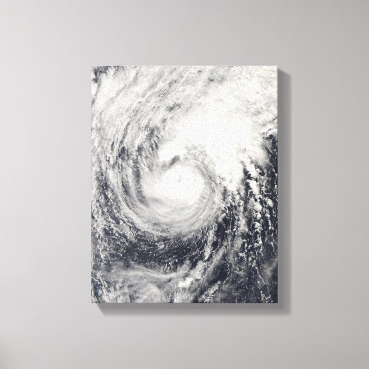 Tyfoon Dolphin op het Filipijnse Zee Canvas Afdruk (Voorkant)