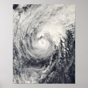 Tyfoon Dolphin op het Filipijnse Zee Poster
