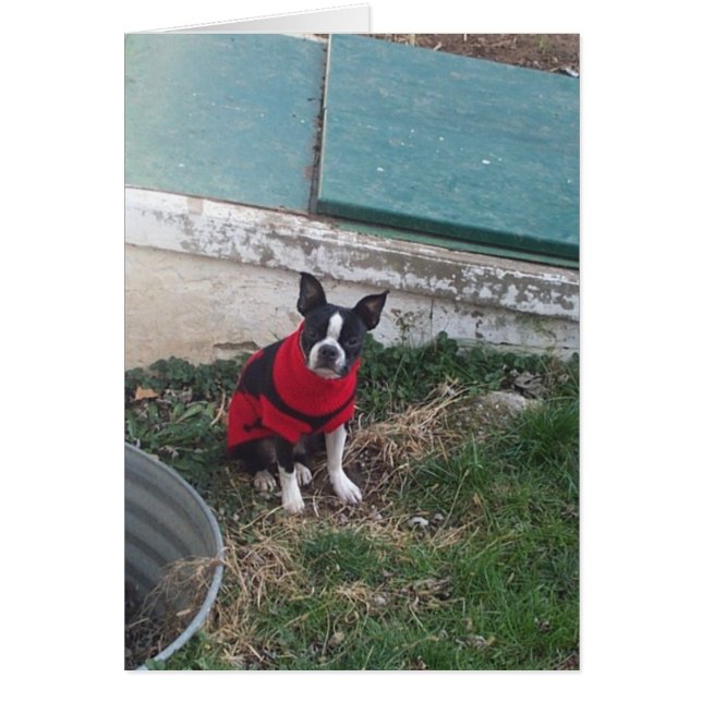 Tyke (Voorkant)