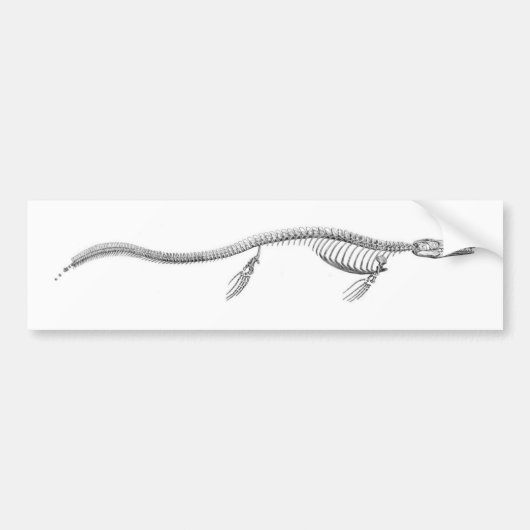 Tylosaurus Skeleton Bumpersticker (Voorkant)