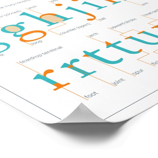 Type anatomegids poster (Hoek)