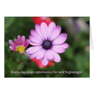 Type fleur rose de marguerite