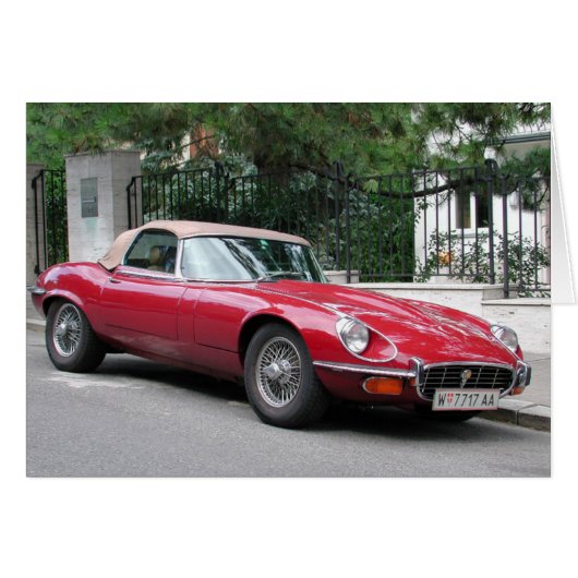 Type Jaguar E (Voorkant Horizontaal)