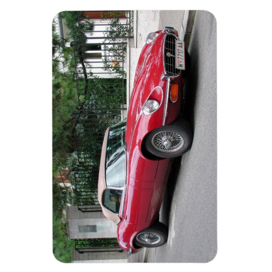 Type Jaguar E Magneet (Verticaal)