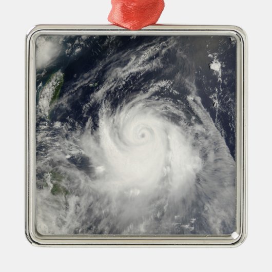 Typhoon Ewiniar Metalen Ornament (Voorkant)
