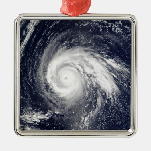 Typhoon Higos Metalen Ornament (Voorkant)