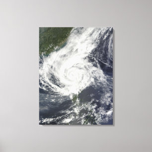 Typhoon Parma Canvas Afdruk