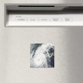 Typhoon Rusa 2 Magneet (Insitu (Vaatwasser))