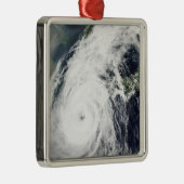 Typhoon Rusa 2 Metalen Ornament (Rechts)