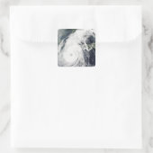 Typhoon Rusa 2 Vierkante Sticker (Tas)