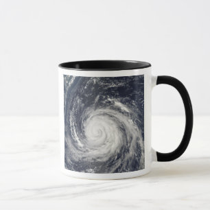 Typhoon Rusa Mok