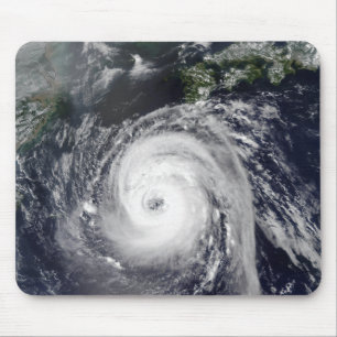 Typhoon Sinlaku 2 Muismat