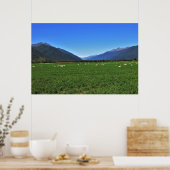 Typisch Nieuw-Zeeland Poster (Keuken)