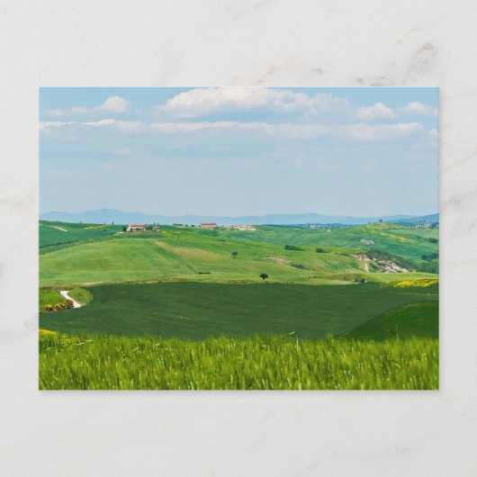 Typisch Toscaans landschap met heuvels - Italië Briefkaart (Voorkant)