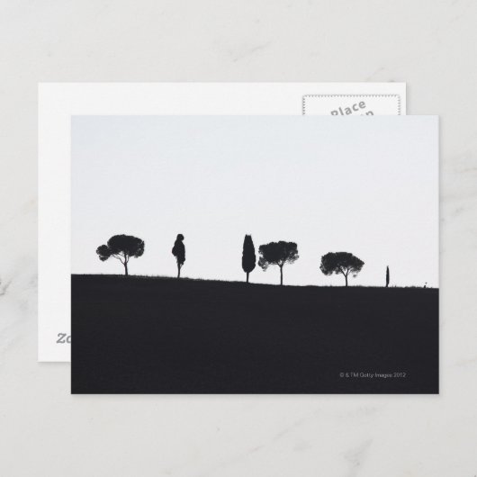 Typische bomen in Toscane Briefkaart (Voorkant / Achterkant)