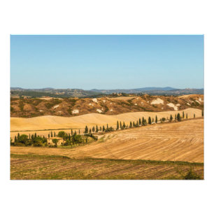 Typische landschappen voor de provincie Siena in T Foto Afdruk