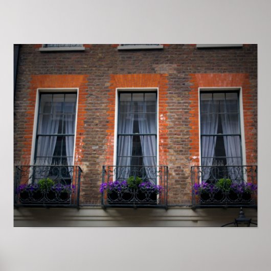 Typische Springtime London Window Flower Boxes Poster (Voorkant)