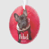 Typographie photo de vacances pour chien de compag (devant)