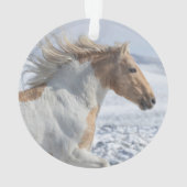 Tyr loopt in de sneeuwsieraar ornament (achterkant)