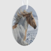 Tyr tourne dans l'ornement de neige (devant)