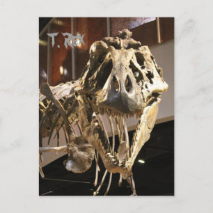 Tyrannosaurus # 4 briefkaart
