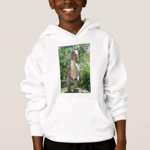 Tyrannosaurus Rex Dinosaur