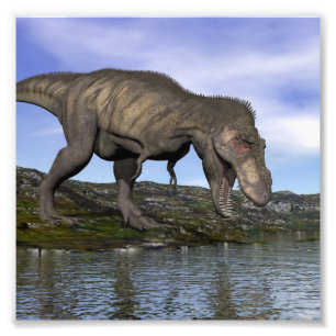 Tyrannosaurus rex dinosaur - 3D rendering Foto Afdruk