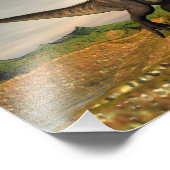 Tyrannosaurus rex dinosaur - 3D rendering Foto Afdruk (Hoek)