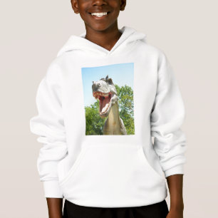 Tyrannosaurus T-Rex Dinosaur