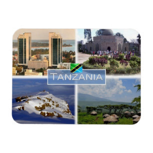 TZ Tanzania - Twin Towers - Magneet