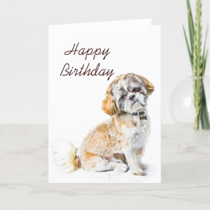 Tzu Dog Happy Birthday Card Kaart