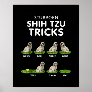 Tzu Lover Funny Shih Tzu Trick Dog Love Poster