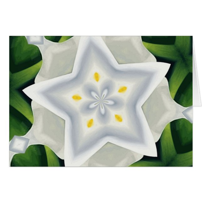 U bent een Ster (Voorkant Horizontaal)