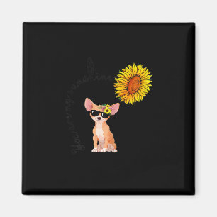 U bent mijn Sunshine Chihuahua Zonnebloem Chiahuah Magneet