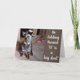 U BENT NU **EEN TEENAGER** 13e BIRTHDAY LIEFT ERVA Kaart