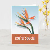 U bent Speciaal Wenskaart Kaart (Gele Bloem)