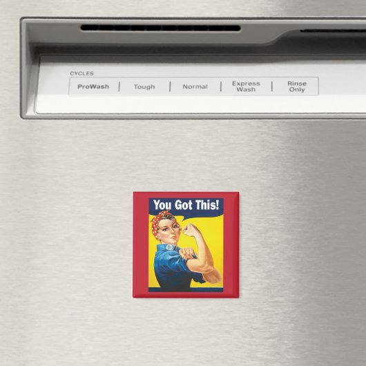 U hebt deze supportoplossing Rosie Magneet (Insitu (Vaatwasser))