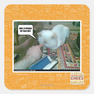 U hebt mijn gezicht ingeduwd! vierkante sticker