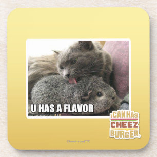 U HEEFT EEN VLAK ONDERZETTER