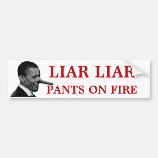 U LIE BUMPERSTICKER (Voorkant)