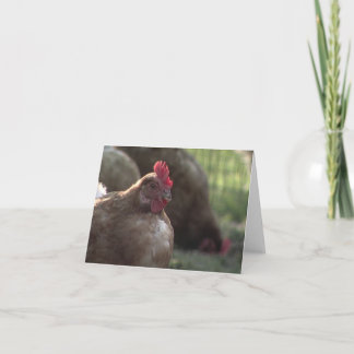 U Lookin bij me? De Kaarten van de nota