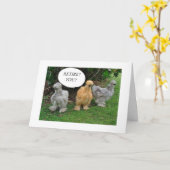 U-**** PENSIONERING***? GEWELDIG NIEUWS **GENIET** KAART (Gele Bloem)