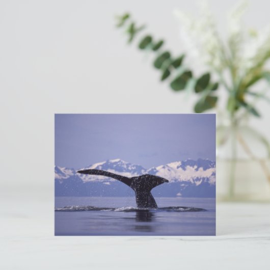 U.S.A., Alaska, Inside Passage Humpback whale Briefkaart (Staand voorkant)