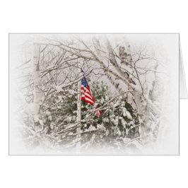 U.S.A. De Scène van de vlag