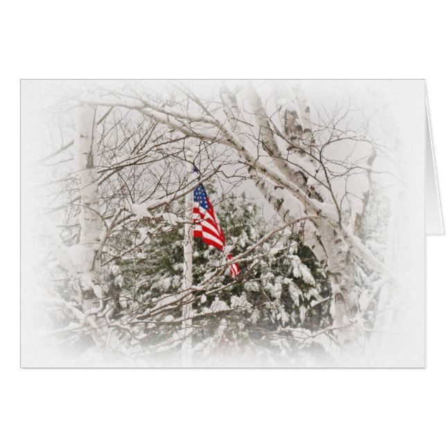 U.S.A. De Scène van de vlag (Voorkant Horizontaal)