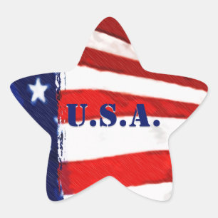 U.S.A. Star Shape Vlag Stickers